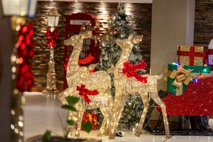 Festive Celebrations